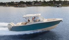 Freedom 307