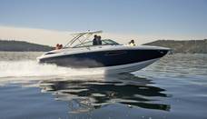 Cobalt 336