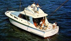 Hatteras 41 Convertible Yachtfish