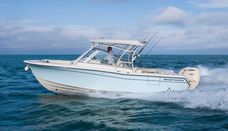 Freedom 285