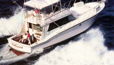 Hatteras 50 Convertible