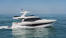 Majesty 60