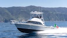 35 Flybridge