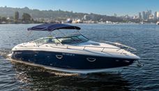 Cobalt 303