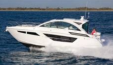 50 Cantius