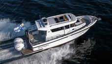Sargo 31 OB