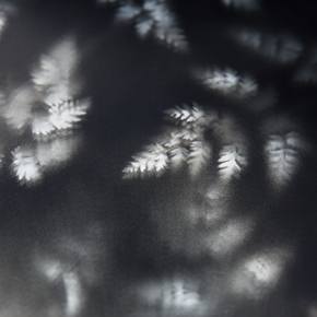 Leaf shadows on Sirena 118 Superyacht IKIGAI