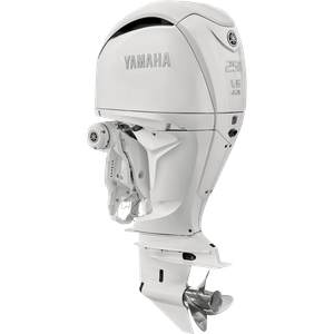 V6 4.2L 250HP Yamaha engine