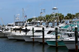 pile mooring style in tidal marina area