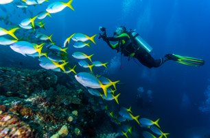 diving equipment on show at boot dusseldorf