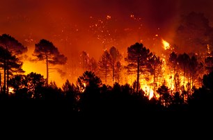 force majeure natural disaster wild fires 