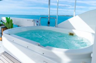 Westport motor yacht Simplicity flybridge jacuzzi 
