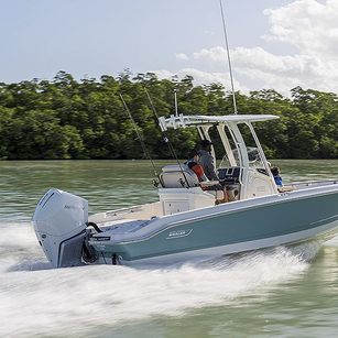 Boston Whaler 250 Dauntless