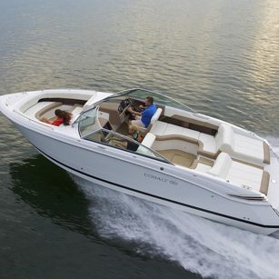 Cobalt 296