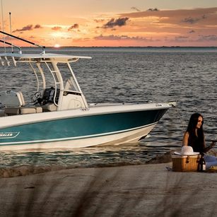 Boston Whaler 230 Outrage
