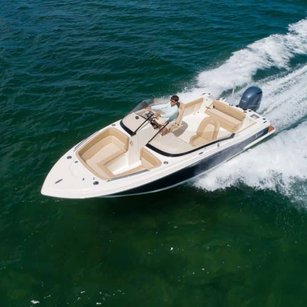 Scout 215 Dorado