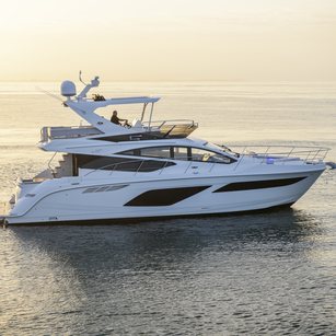 Sea Ray L550 Fly