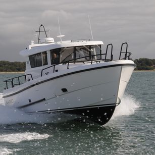 Sargo 33