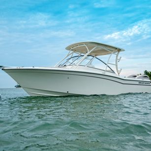 Grady-White Freedom 255