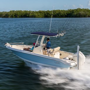 Boston Whaler 220 Dauntless