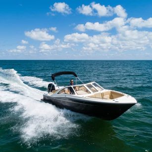 Scout 240 Dorado
