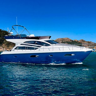 Rodman Muse 44