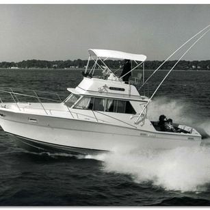 Viking 33 Convertible