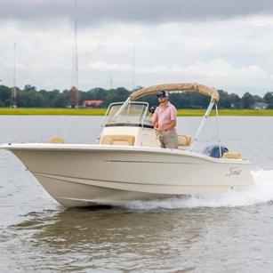 Scout 195 Sport Dorado