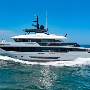 Ocean King Doge 400 GT