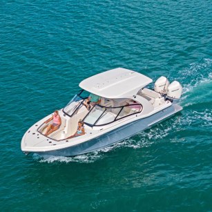 Scout 288 Dorado