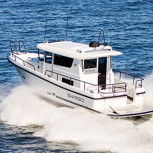 Sargo 31