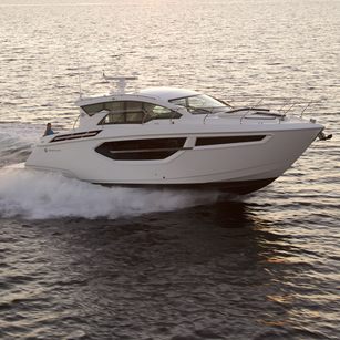 Cruisers 42 Cantius