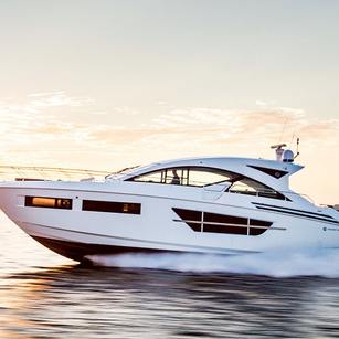 Cruisers 60 Cantius