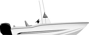 Scout Sportfish Illustration