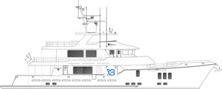 N100 profile illustration