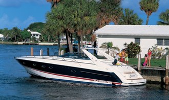 Camargue 51