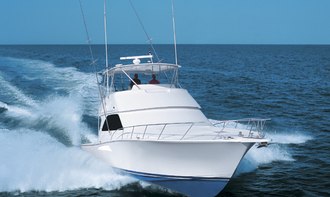 Viking 48C