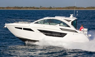 50 Cantius