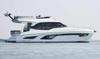 Majesty 49