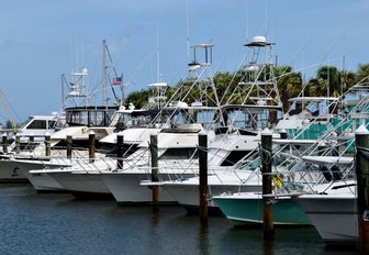 pile mooring style in tidal marina area