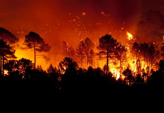 force majeure natural disaster wild fires 