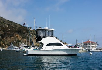 sportsfisher yacht underway in island location