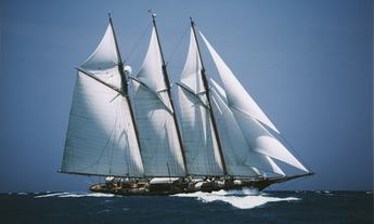                         54.6m Shenandoah of Sark 2010 Finalist