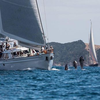 Tawera yacht exterior 2