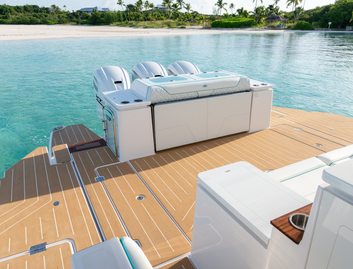 Regal 43 SAV , Deck Area