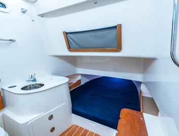 Grady-White Canyon 336 , Accommodation