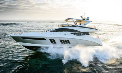 Award FinalistSea Ray L650 Fly                                                                                        
                                                    
                                Sea Ray
                                Photo