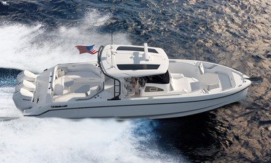 Award WinnerWellcraft 38 T-Top                                                                                        
                                                    
                                
                                Photo