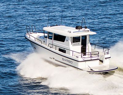 Sargo 31