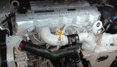 Dignity For Sale image42